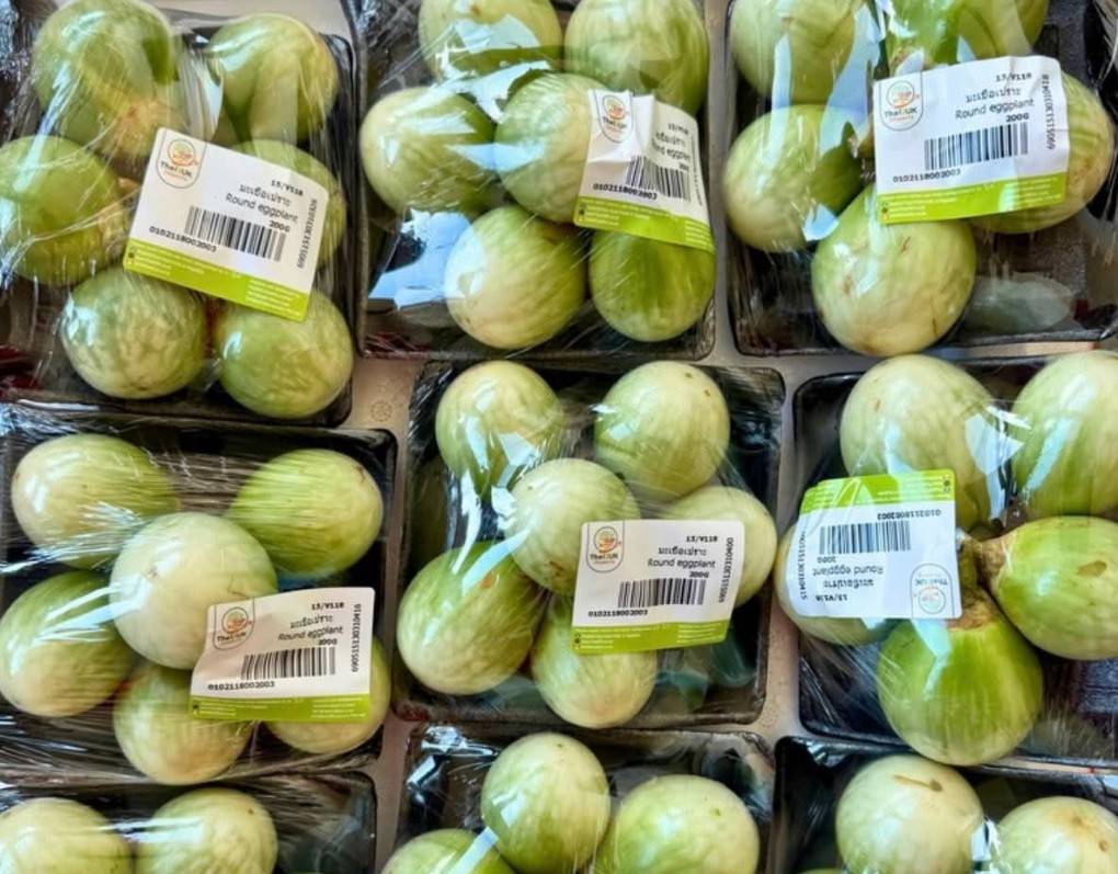 Fresh Vegetables
