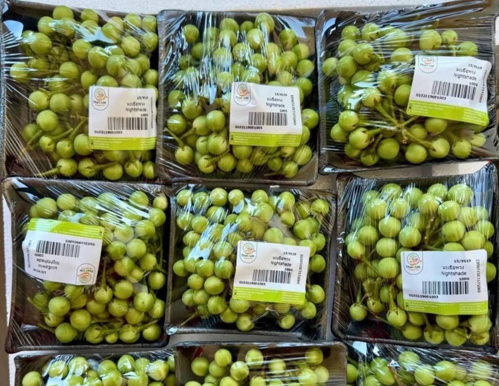 Fresh Fruits